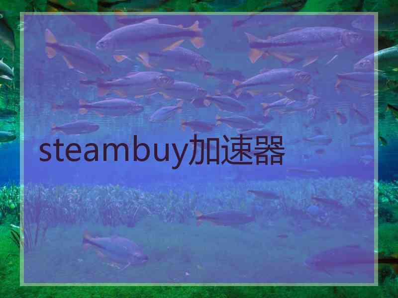 steambuy加速器